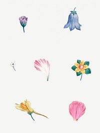 Vintage flowers set illustration