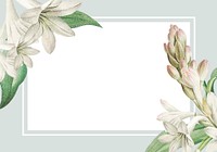 Vintage blank tuberose flower themed frame illustration