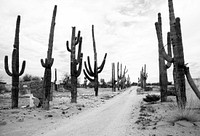 Rural Arizona near Florence, Arizona. Original image from <a href="https://www.rawpixel.com/search/carol%20m.%20highsmith?sort=curated&amp;page=1">Carol M. Highsmith</a>&rsquo;s America, Library of Congress collection. Digitally enhanced by rawpixel.