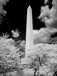 Washington Monument, Washington D.C. Original image from <a href="https://www.rawpixel.com/search/carol%20m.%20highsmith?sort=curated&amp;page=1">Carol M. Highsmith</a>&rsquo;s America, Library of Congress collection. Digitally enhanced by rawpixel