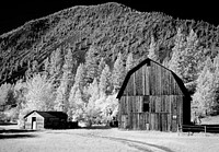 Barn in rural Montana, Infrared View. Original image from <a href="https://www.rawpixel.com/search/carol%20m.%20highsmith?sort=curated&amp;page=1">Carol</a><a href="https://www.rawpixel.com/search/carol%20m.%20highsmith?sort=curated&amp;page=1"> M. Highsmith</a>&rsquo;s America, Library of Congress collection. Digitally enhanced by rawpixel.