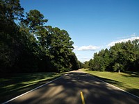 Natchez Trace Parkway through Alabama, to salt licks in today&#39;s central Tennessee, USA. Old Mammoth Road. Original image from <a href="https://www.rawpixel.com/search/carol%20m.%20highsmith?sort=curated&amp;page=1">Carol M. Highsmith</a>&rsquo;s America, Library of Congress collection. Digitally enhanced by rawpixel.