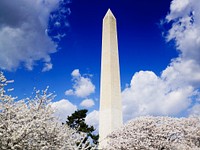 Washington Monument in spring. Original image from Carol M. Highsmith&rsquo;s America, Library of Congress collection. Digitally enhanced by rawpixel.