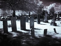 Greenwood Cemetery in Tuscaloosa, Alabama. Original image from <a href="https://www.rawpixel.com/search/carol%20m.%20highsmith?sort=curated&amp;page=1">Carol M. Highsmith</a>&rsquo;s America, Library of Congress collection. Digitally enhanced by rawpixel.
