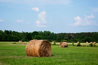 Hay bales dot the landscape of the 69.2 acre farm near Carrollton, Alabama. Original image from <a href="https://www.rawpixel.com/search/carol%20m.%20highsmith?sort=curated&amp;page=1">Carol</a><a href="https://www.rawpixel.com/search/carol%20m.%20highsmith?sort=curated&amp;page=1"> M. Highsmith</a>&rsquo;s America, Library of Congress collection. Digitally enhanced by rawpixel.
