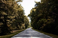 Natchez Trace parkway in Florence, Alabama. Old Mammoth Road. Original image from Carol M. Highsmith&rsquo;s America, Library of Congress collection. Digitally enhanced by rawpixel.