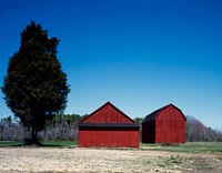 Red barns ion a tidy Amish farm in St. Mary&#39;s County, Maryland. Original image from <a href="https://www.rawpixel.com/search/carol%20m.%20highsmith?sort=curated&amp;page=1">Carol M. Highsmith</a>&rsquo;s America, Library of Congress collection. Digitally enhanced by rawpixel.