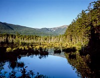Moose bog near Mount Katahdin at northern end of the Appalachian Trail. Original image from <a href="https://www.rawpixel.com/search/carol%20m.%20highsmith?sort=curated&amp;page=1">Carol M. Highsmith</a>&rsquo;s America, Library of Congress collection. Digitally enhanced by rawpixel.