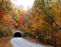 Tunnel on North Carolina&#39;s Blue Ridge Parkway. Original image from <a href="https://www.rawpixel.com/search/carol%20m.%20highsmith?sort=curated&amp;page=1">Carol</a><a href="https://www.rawpixel.com/search/carol%20m.%20highsmith?sort=curated&amp;page=1"> M. Highsmith</a>&rsquo;s America, Library of Congress collection. Digitally enhanced by rawpixel.
