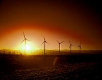 California Wind Turbines at Sunset. Original image from <a href="https://www.rawpixel.com/search/carol%20m.%20highsmith?sort=curated&amp;page=1">Carol</a><a href="https://www.rawpixel.com/search/carol%20m.%20highsmith?sort=curated&amp;page=1"> M. Highsmith</a>&rsquo;s America, Library of Congress collection. Digitally enhanced by rawpixel.