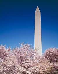 The Washington Monument in Washington, D.C. Original image from Carol M. Highsmith&rsquo;s America, Library of Congress collection. Digitally enhanced by rawpixel.