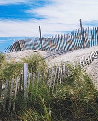 Dunes and Fence, Cape Hatteras, North Carolina. Original image from <a href="https://www.rawpixel.com/search/carol%20m.%20highsmith?sort=curated&amp;page=1">Carol M. Highsmith</a>&rsquo;s America, Library of Congress collection. Digitally enhanced by rawpixel.