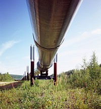 Alaska Pipeline. Original image from <a href="https://www.rawpixel.com/search/carol%20m.%20highsmith?sort=curated&amp;page=1">Carol M. Highsmith</a>&rsquo;s America, Library of Congress collection. Digitally enhanced by rawpixel.