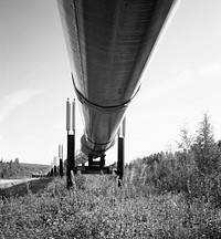 Alaska Pipeline. Original image from Carol M. Highsmith&rsquo;s America, Library of Congress collection. Digitally enhanced by rawpixel.