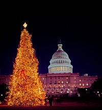 Christmas tree in Capitol Hill. Original image from <a href="https://www.rawpixel.com/search/carol%20m.%20highsmith?sort=curated&amp;page=1">Carol M. Highsmith</a>&rsquo;s America, Library of Congress collection. Digitally enhanced by rawpixel.