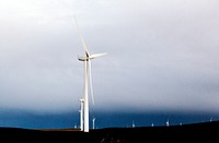 A wind farm off California Rt. 12 near Rio Vista in Solano County, California. Original image from Carol M. Highsmith&rsquo;s America, Library of Congress collection. Digitally enhanced by rawpixel.