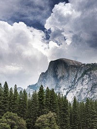 Yosemite National Park. Original image from <a href="https://www.rawpixel.com/search/carol%20m.%20highsmith?sort=curated&amp;page=1">Carol M. Highsmith</a>&rsquo;s America, Library of Congress collection. Digitally enhanced by rawpixel.