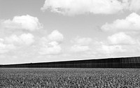 View of cropland in a farm at Texas, United States. Original image from <a href="https://www.rawpixel.com/search/carol%20m.%20highsmith?sort=curated&amp;page=1">Carol M. Highsmith</a>&rsquo;s America, Library of Congress collection. Digitally enhanced by rawpixel.