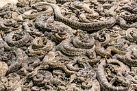 A literal pit of vipers at the &quot;World&#39;s Largest Rattlesnake Roundup&quot; in Sweetwater, Texas. Original image from <a href="https://www.rawpixel.com/search/carol%20m.%20highsmith?sort=curated&amp;page=1">Carol M. Highsmith</a>&rsquo;s America, Library of Congress collection. Digitally enhanced by rawpixel.