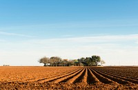 Deep, rich furrows in farmland east of Lamesa in Dawson County, Texas. Original image from <a href="https://www.rawpixel.com/search/carol%20m.%20highsmith?sort=curated&amp;page=1">Carol M. Highsmith</a>&rsquo;s America, Library of Congress collection. Digitally enhanced by rawpixel.