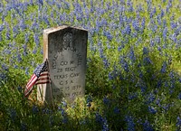 Headstone of a Confederate cavalryman amid a field of wildflowers in the Old Livingston Cemetery in Livingston in East Texas. Original image from Carol M. Highsmith&rsquo;s America, Library of Congress collection. Digitally enhanced by rawpixel.