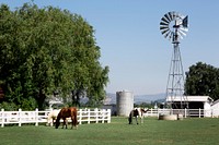 Horses at a ranch in Texas. Original image from <a href="https://www.rawpixel.com/search/carol%20m.%20highsmith?sort=curated&amp;page=1">Carol M. Highsmith</a>&rsquo;s America, Library of Congress collection. Digitally enhanced by rawpixel.