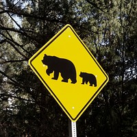 One of what are fairly common bear-crossing signs in California&#39;s Sierra Mountains. Original image from <a href="https://www.rawpixel.com/search/carol%20m.%20highsmith?sort=curated&amp;page=1">Carol M. Highsmith</a>&rsquo;s America, Library of Congress collection. Digitally enhanced by rawpixel.