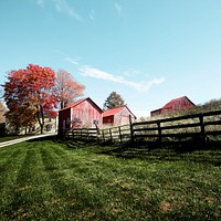 Grouping of small barns in this Monroe County, West Virginia, autumnal rural scene. Original image from Carol M. Highsmith&rsquo;s America, Library of Congress collection. Digitally enhanced by rawpixel.
