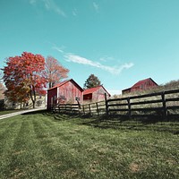 Grouping of small barns in this Monroe County, West Virginia, autumnal rural scene. Original image from <a href="https://www.rawpixel.com/search/carol%20m.%20highsmith?sort=curated&amp;page=1">Carol M. Highsmith</a>&rsquo;s America, Library of Congress collection. Digitally enhanced by rawpixel.
