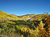 Fall aspens in San Juan County, Colorado USA - Original image from Carol M. Highsmith&rsquo;s America, Library of Congress collection. Digitally enhanced by rawpixel