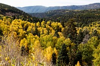 Fall aspens in San Juan County, Colorado USA - Original image from <a href="https://www.rawpixel.com/search/carol%20m.%20highsmith?sort=curated&amp;page=1">Carol M. Highsmith</a>&rsquo;s America, Library of Congress collection. Digitally enhanced by rawpixel