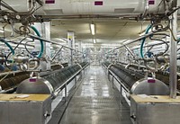 The "Cellar 12" filtration room at the MillerCoors Brewery in Corolado. Original image from Carol M. Highsmith&rsquo;s America, Library of Congress collection. Digitally enhanced by rawpixel.