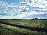 A cornfield seems to stretch forever in the rolling hills of Audubon County, Iowa. Original image from <a href="https://www.rawpixel.com/search/carol%20m.%20highsmith?sort=curated&amp;page=1">Carol M. Highsmith</a>&rsquo;s America, Library of Congress collection. Digitally enhanced by rawpixel.