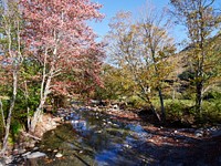 Autumn along the Robbins Branch creek, a tributary of the White River near Ripton, Vermont. Original image from <a href="https://www.rawpixel.com/search/carol%20m.%20highsmith?sort=curated&amp;page=1">Carol M. Highsmith</a>&rsquo;s America, Library of Congress collection. Digitally enhanced by rawpixel.