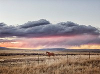 Sunset approaches at the Big Creek cattle ranch, a huge spread just above the Colorado line near Riverside in Carbon County, Wyoming. Original image from Carol M. Highsmith&rsquo;s America, Library of Congress collection. Digitally enhanced by rawpixel.