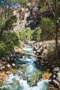 High-country stream and cottonwoods in rugged north-central Wyoming's rugged Big Horn County. Original image from Carol M. Highsmith’s America, Library of Congress collection. Digitally enhanced by rawpixel.