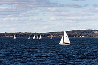 Sailboats on Lake Mendota, one of two large lakes that residents of Madison, Wisconsin. Original image from Carol M. Highsmith&rsquo;s America, Library of Congress collection. Digitally enhanced by rawpixel.