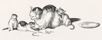Illustration of domestic cat napping while three kittens play by Gottfried Mind (1768-1814). Original from Library of Congress. Digitally enhanced by rawpixel.