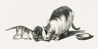 Illustration of domestic cat and kittens by Gottfried Mind (1768-1814). Digitally enhanced from our own original edition. Original from Library of Congress. Digitally enhanced by rawpixel.