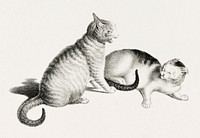 Illustration of two domestic cats playfully fighting by Gottfried Mind (1768-1814). Original from Library of Congress. Digitally enhanced by rawpixel.