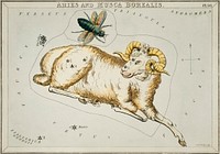 Sidney Hall&rsquo;s (1831) astronomical chart illustration of Aries and Musca Borealis. Original from Library of Congress. Digitally enhanced by rawpixel.