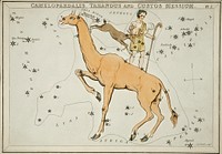 Sidney Hall&rsquo;s (1831) astronomical chart illustration of the Camelopardalis, Tarandus and the Custos Messium. Original from Library of Congress. Digitally enhanced by rawpixel.