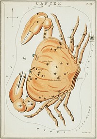 Sidney Hall&rsquo;s (1831) astronomical chart illustration of the zodiac Cancer. Original from Library of Congress. Digitally enhanced by rawpixel.