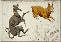 Sidney Hall&rsquo;s (1831) astronomical chart illustration of the Canis Major, Lepus, Columba Noachi and the Cela Sculptoris. Original from Library of Congress. Digitally enhanced by rawpixel.