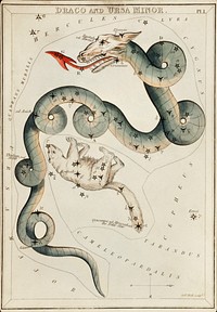 Sidney Hall&rsquo;s (1831) astronomical chart illustration of the Draco and the Ursa Minor. Original from Library of Congress. Digitally enhanced by rawpixel.