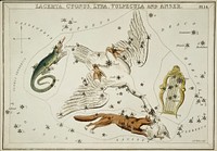 Sidney Hall&rsquo;s (1831) astronomical chart illustration of the Lacerta, Cygnus, Lyra, Vulpecula and the Anser. Original from Library of Congress. Digitally enhanced by rawpixel.