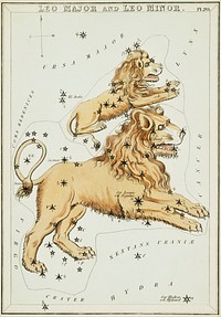 Sidney Hall&rsquo;s (1831) astronomical chart illustration of the Leo Major and the Leo Minor. Original from Library of Congress. Digitally enhanced by rawpixel.