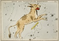 Sidney Hall&rsquo;s (1831) astronomical chart illustration of Lynx and the Telescopium Herschilii. Original from Library of Congress. Digitally enhanced by rawpixel.
