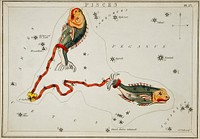 Sidney Hall&rsquo;s (1831) astronomical chart illustration of the Pisces. Original from Library of Congress. Digitally enhanced by rawpixel.