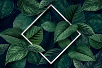 White  rhombus frame on a green leaves textured background